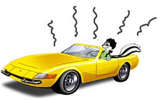 BA Auto Care | A Smelly Automotive Blog! 6 Car Smells That Could Signal a Problem. - BA Auto Care