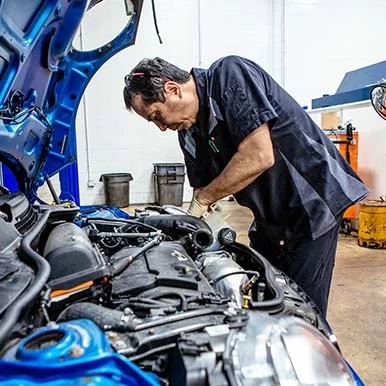 What Does it Take to Earn the Label Auto Repair Expert?