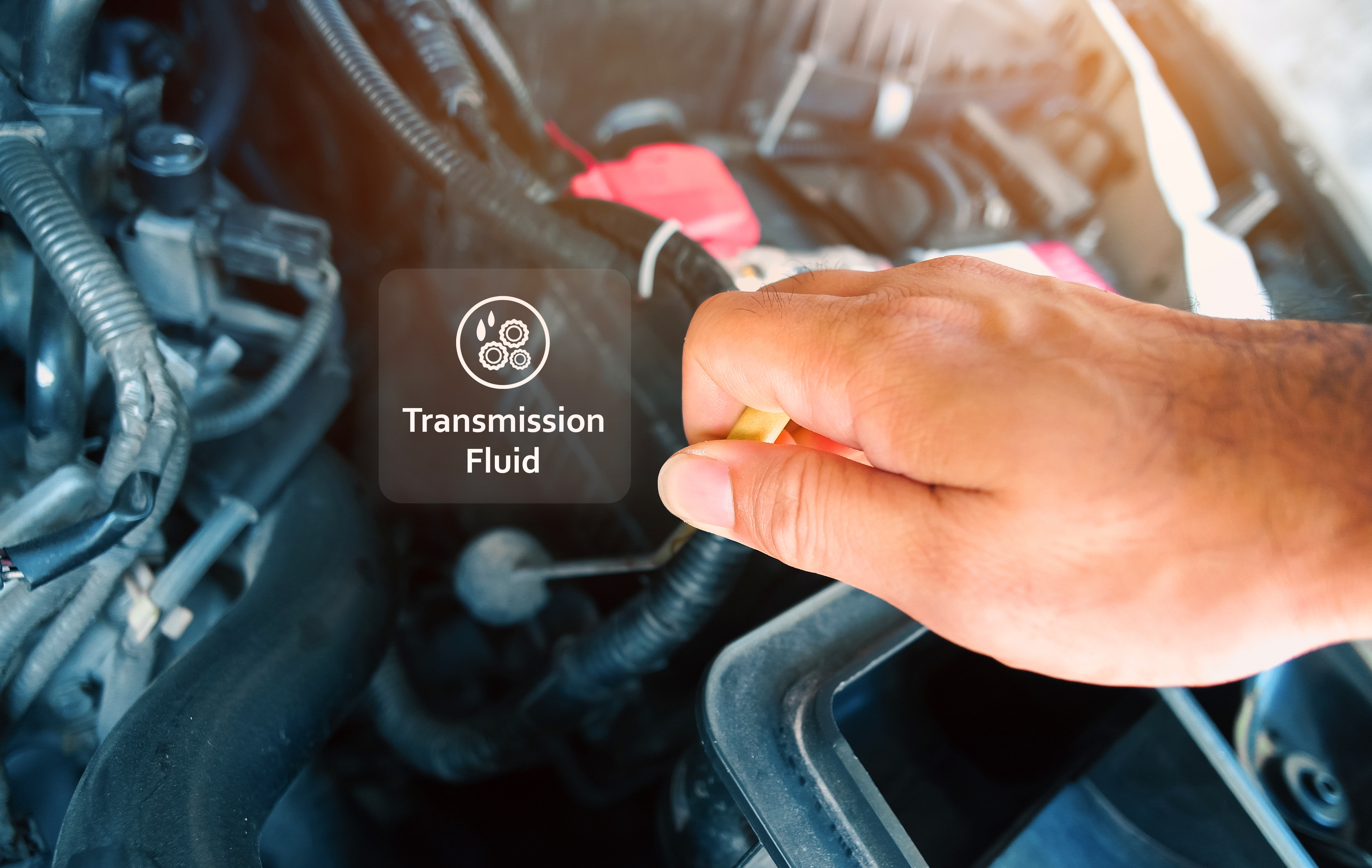 When Should I Change the Transmission Fluid in my Car?